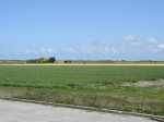 [Near Sande 1.JPG]